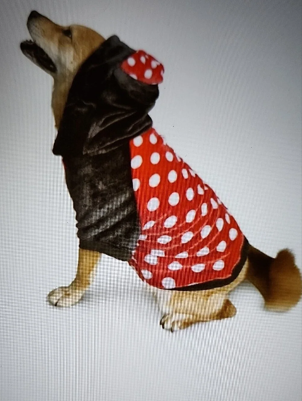 Disney minnie mouse